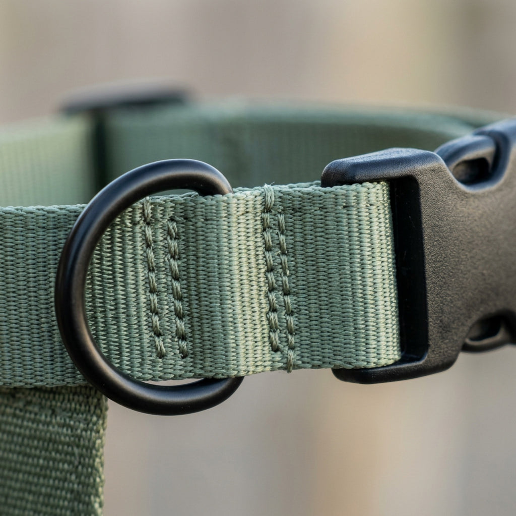 Paoth Adjustable Dog Collar Sage Nylon Medium