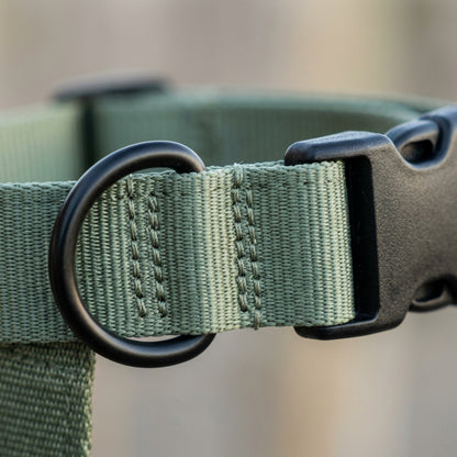 Paoth Adjustable Dog Collar Sage Nylon Medium