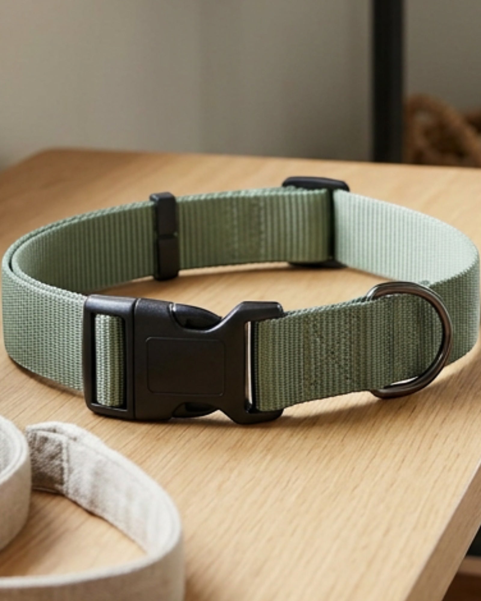 Paoth Adjustable Dog Collar Sage Nylon Medium