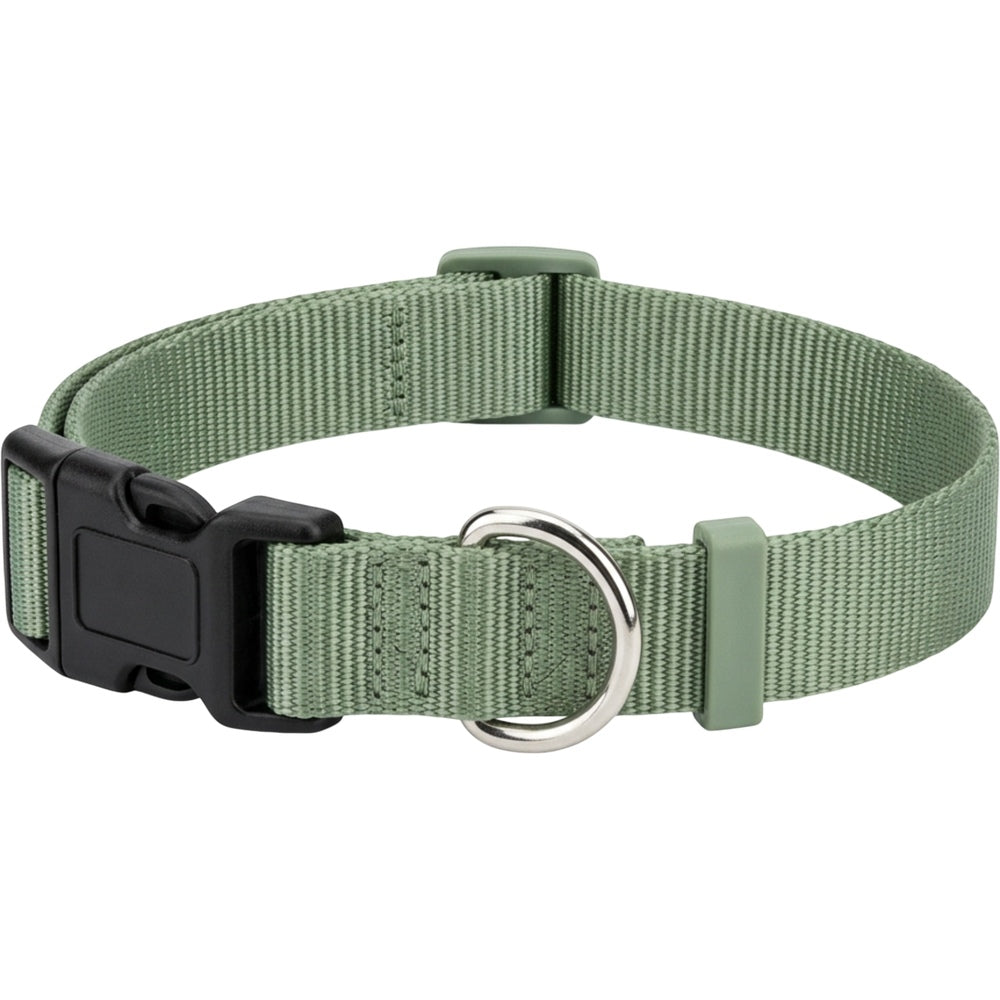 Paoth Adjustable Dog Collar Sage Nylon Medium