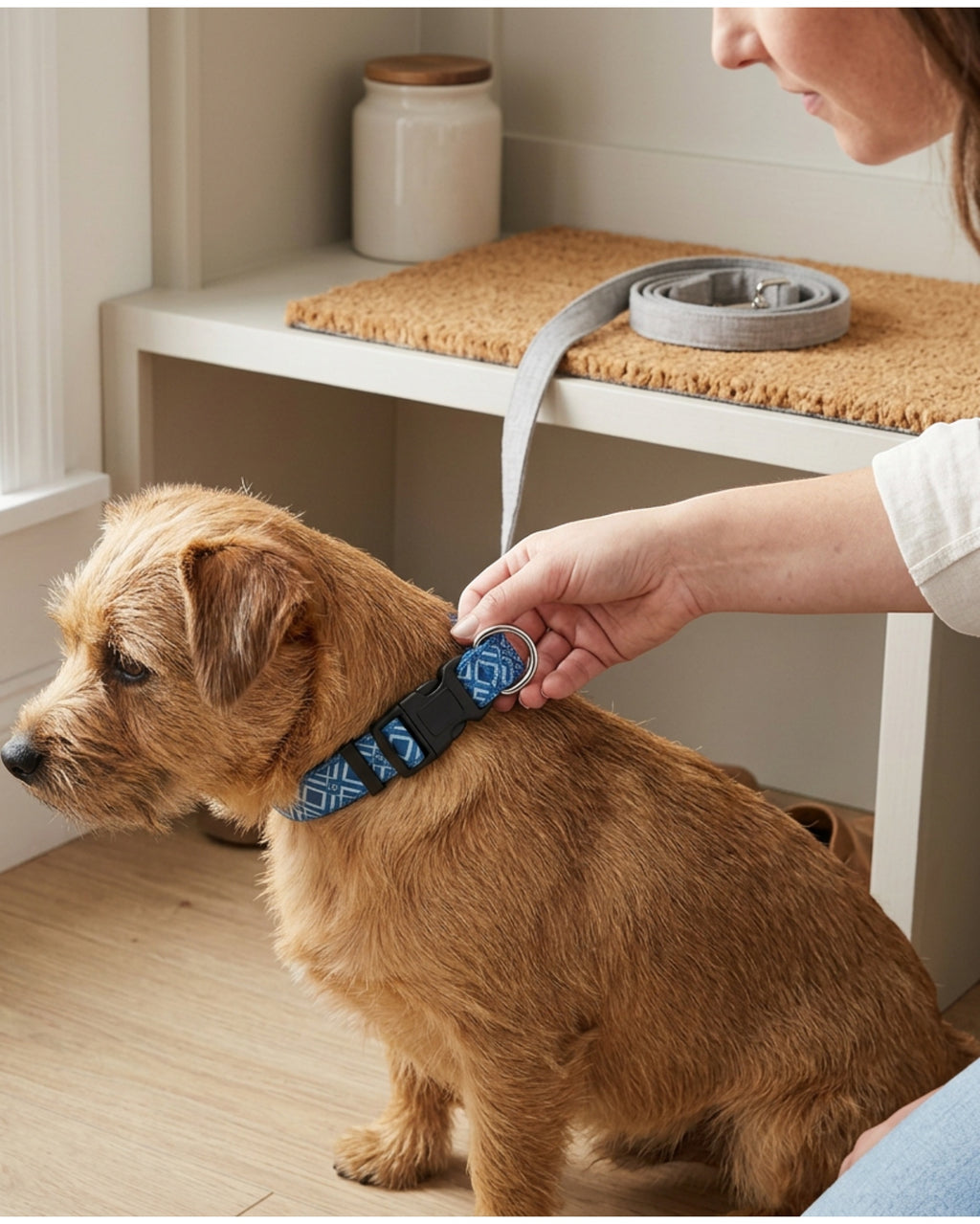 Paoth Patterned Pet Collar Blue Geo Small