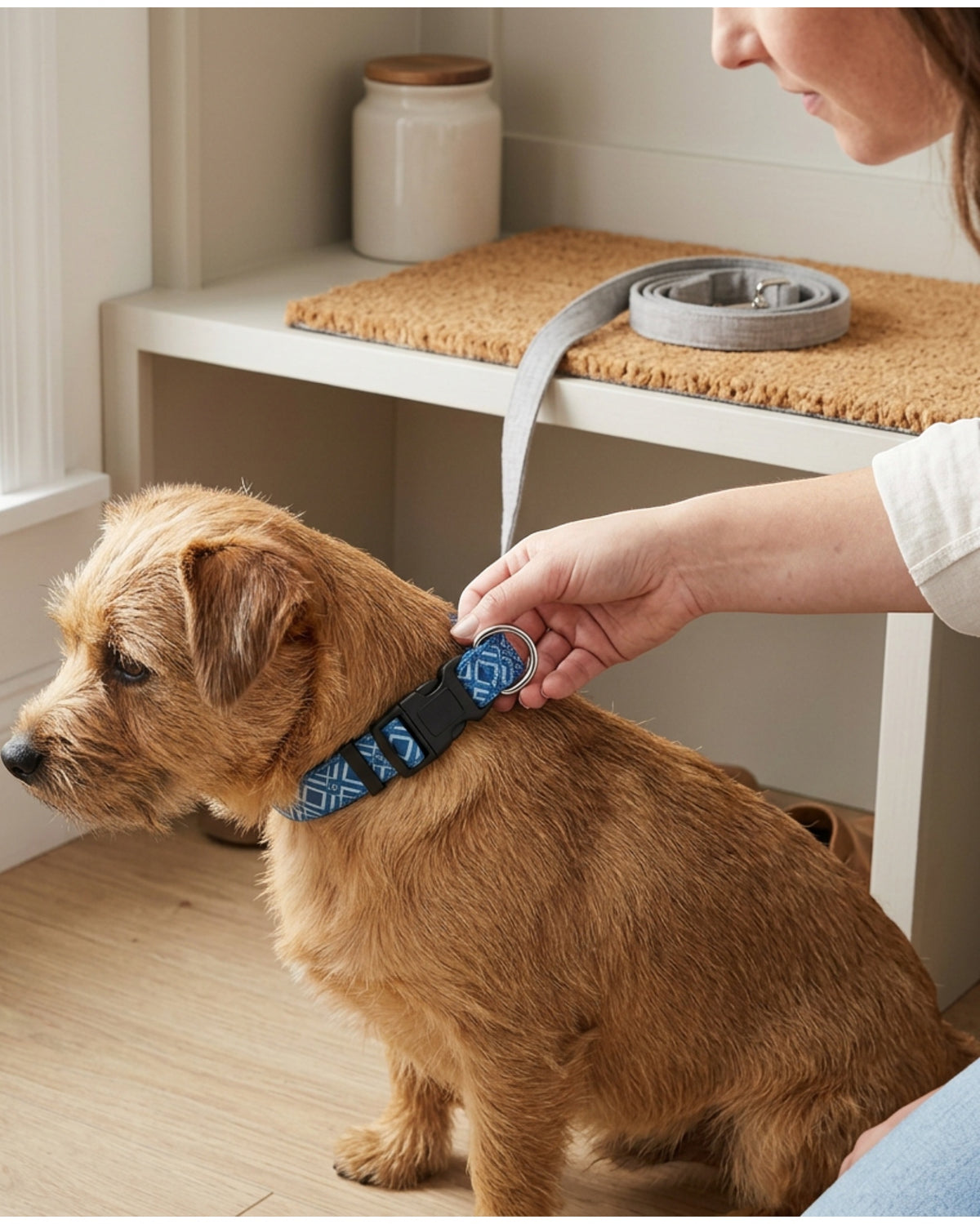 Paoth Patterned Pet Collar Blue Geo Small
