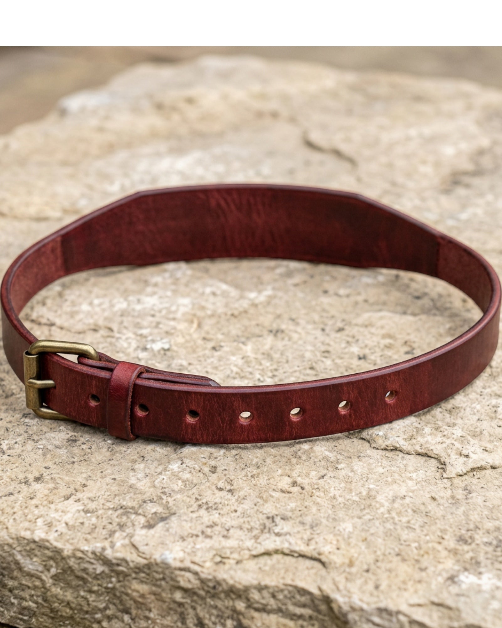 Paoth Tapered Leather Dog Collar 40–52 cm Burgundy - Lifestyle view
