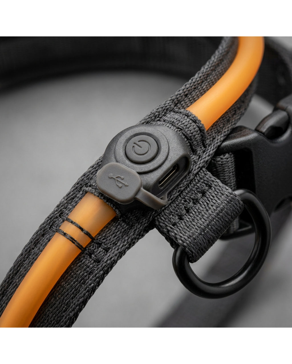 Paoth USB-C Light-Band Dog Collar 32–48 cm Charcoal Amber - Detail view