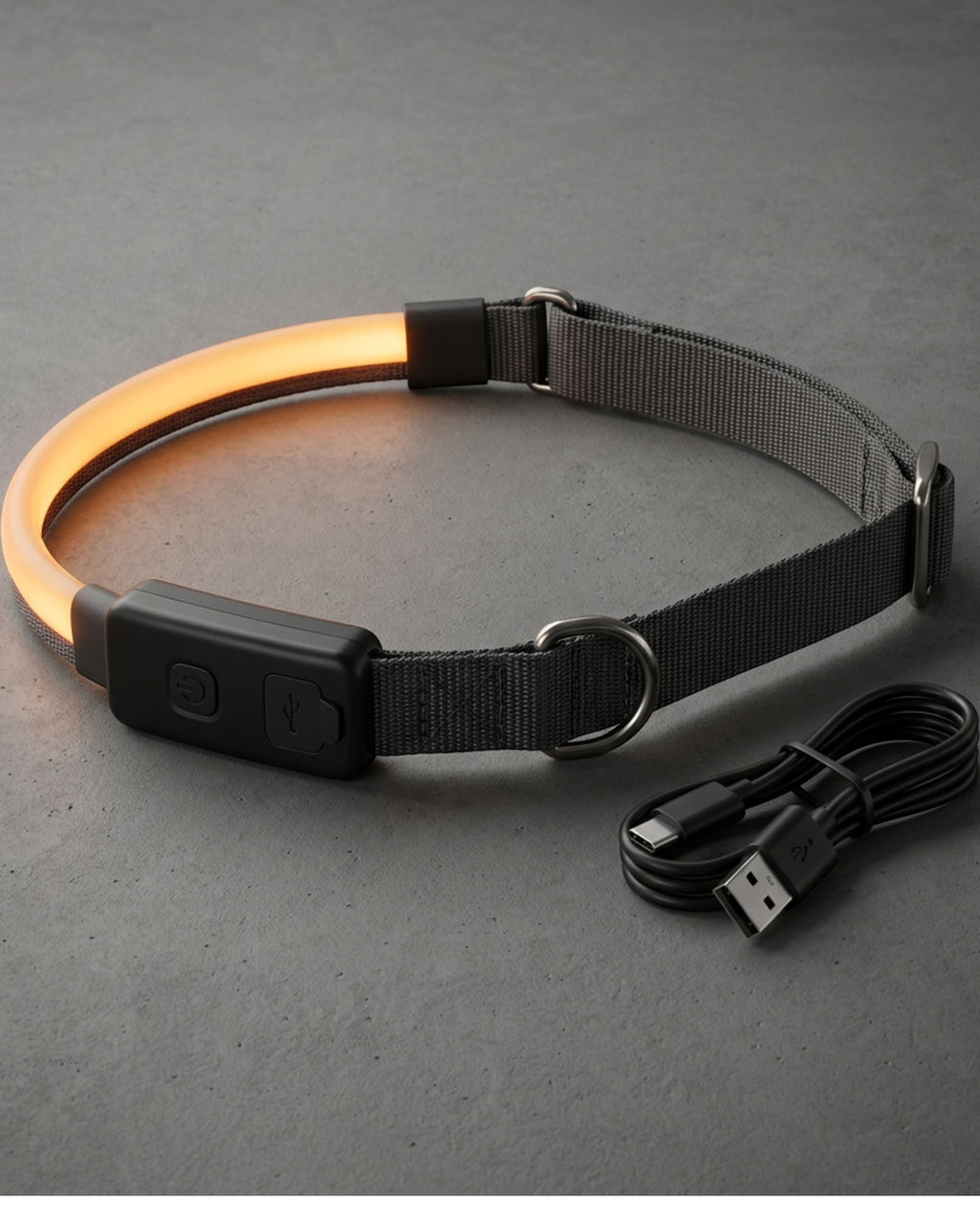 Paoth USB-C Light-Band Dog Collar 32–48 cm Charcoal Amber - Lifestyle view