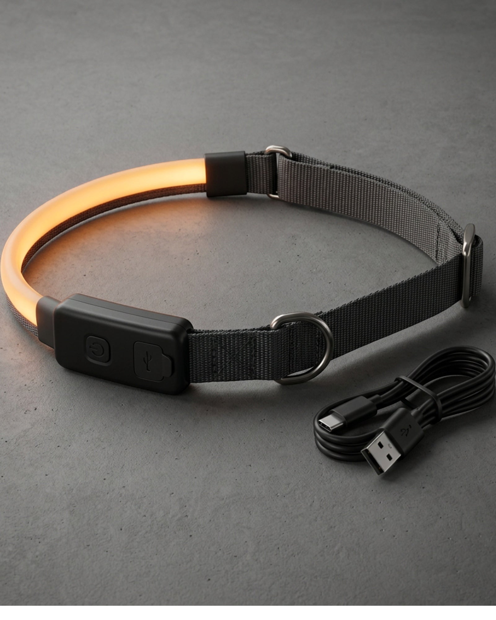 Paoth USB-C Light-Band Dog Collar 32–48 cm Charcoal Amber - Lifestyle view
