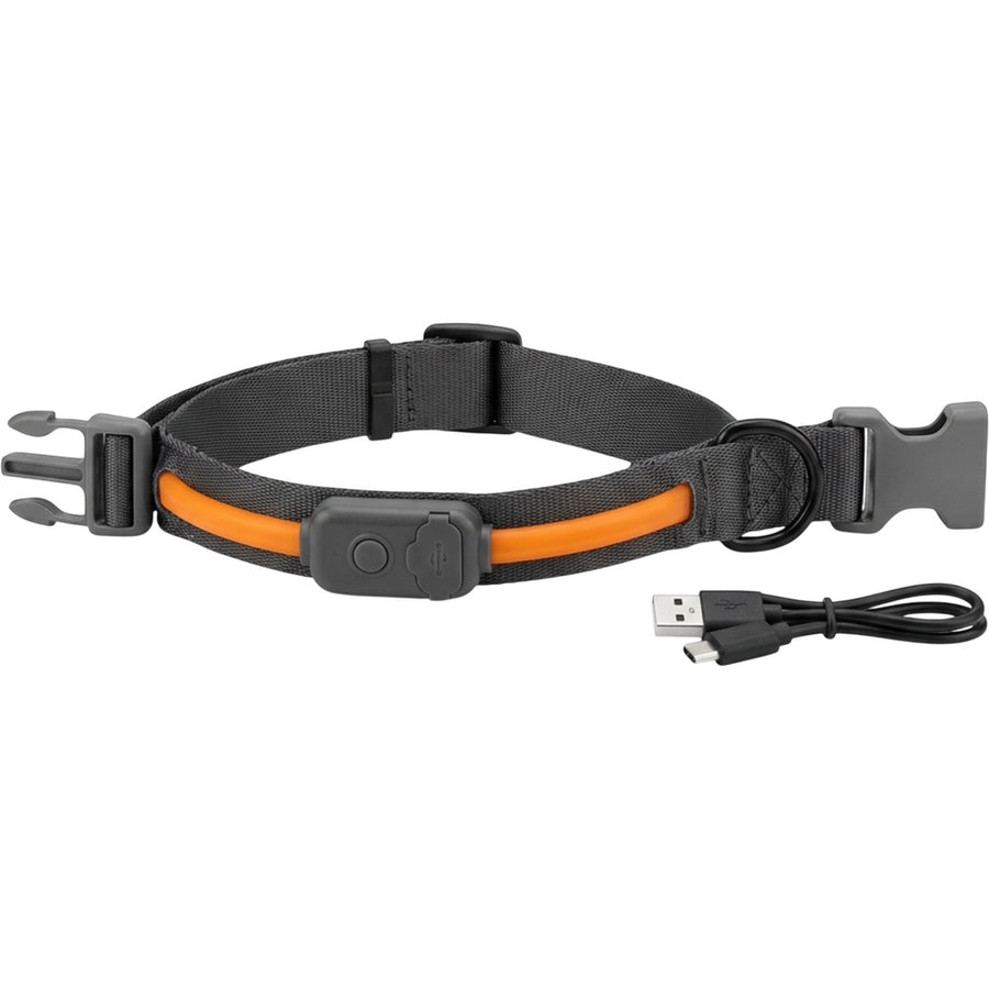 Paoth USB-C Light-Band Dog Collar 32–48 cm Charcoal Amber
